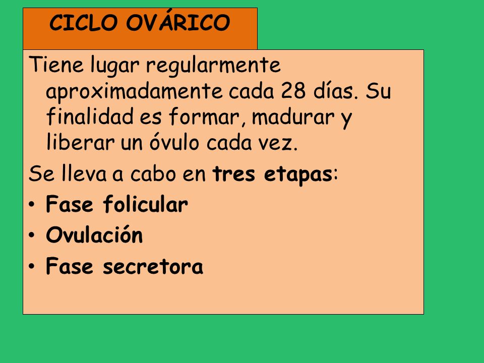 CICLO OVÁRICO Tiene lugar regularmente aproximadamente cada 28 días. Su finalidad es formar, madurar y liberar un óvulo cada vez.