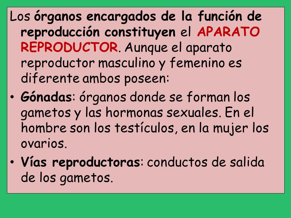 Los órganos encargados de la función de reproducción constituyen el APARATO REPRODUCTOR. Aunque el aparato reproductor masculino y femenino es diferente ambos poseen: