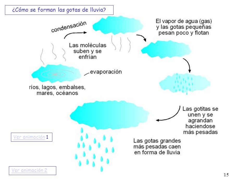 ¿Cómo se forman las gotas de lluvia
