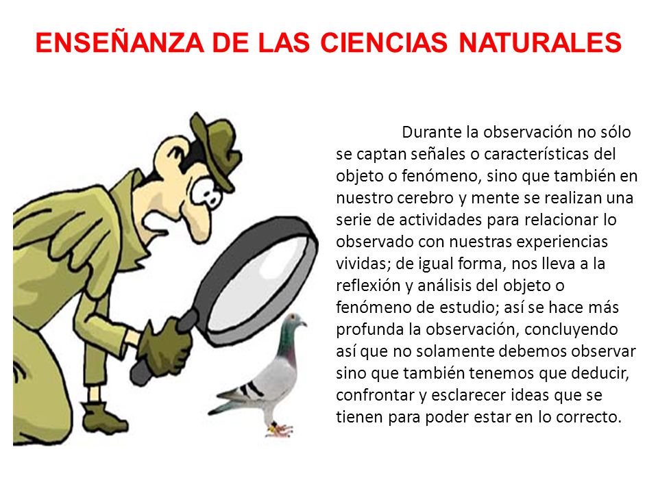 ENSEÑANZA DE LAS CIENCIAS NATURALES