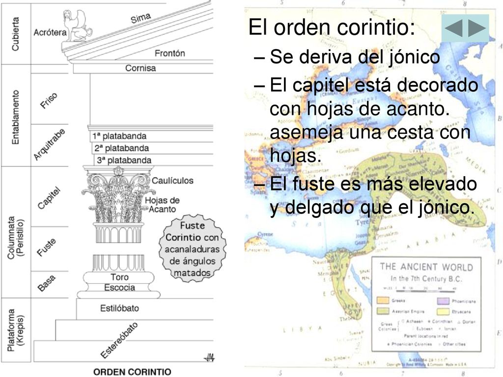 El orden corintio: Se deriva del jónico