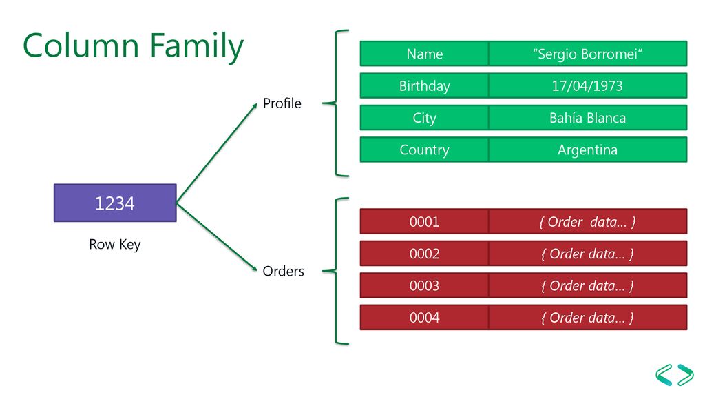 Column Family 1234 Name Sergio Borromei Birthday 17/04/1973 Profile