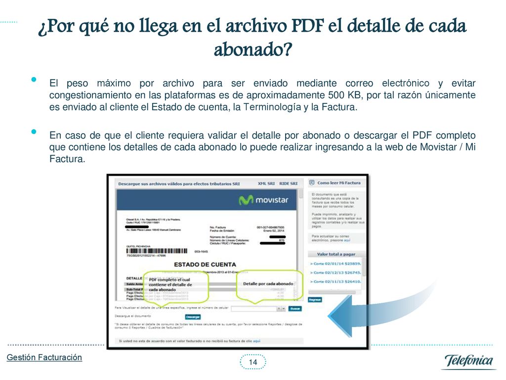 ¿Por qué no llega en el archivo PDF el detalle de cada abonado