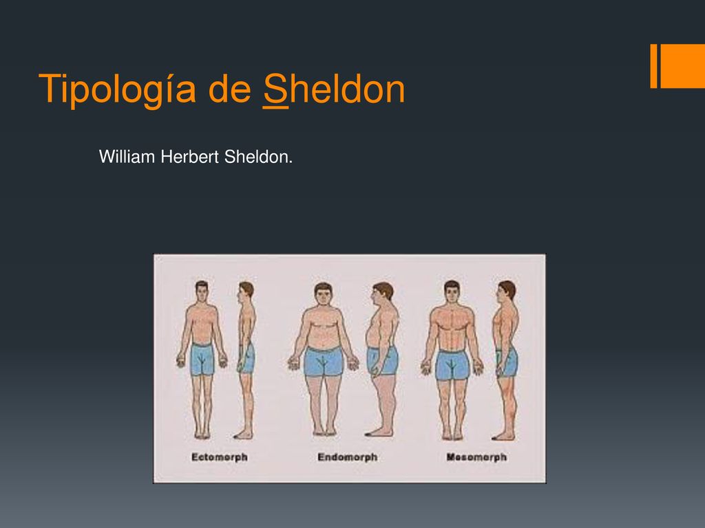 Tipología de Sheldon William Herbert Sheldon.