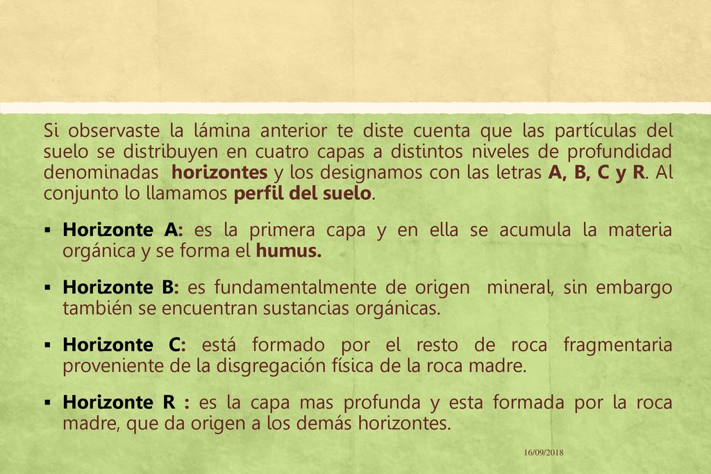 Si observaste la lámina anterior te diste cuenta que las partículas del suelo se distribuyen en cuatro capas a distintos niveles de profundidad denominadas horizontes y los designamos con las letras A, B, C y R. Al conjunto lo llamamos perfil del suelo.