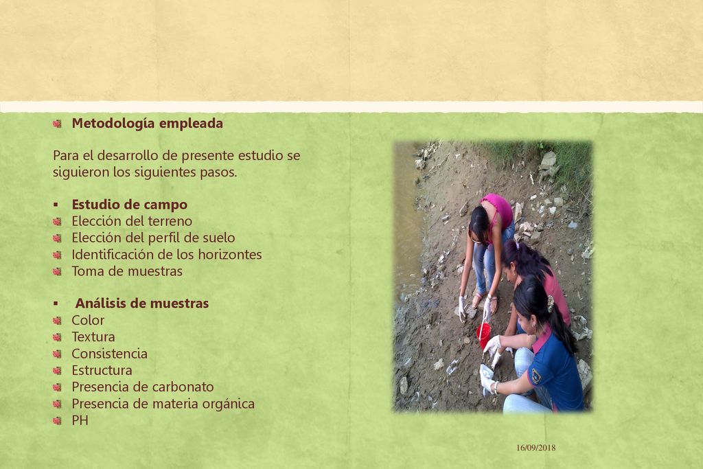Elección del perfil de suelo Identificación de los horizontes