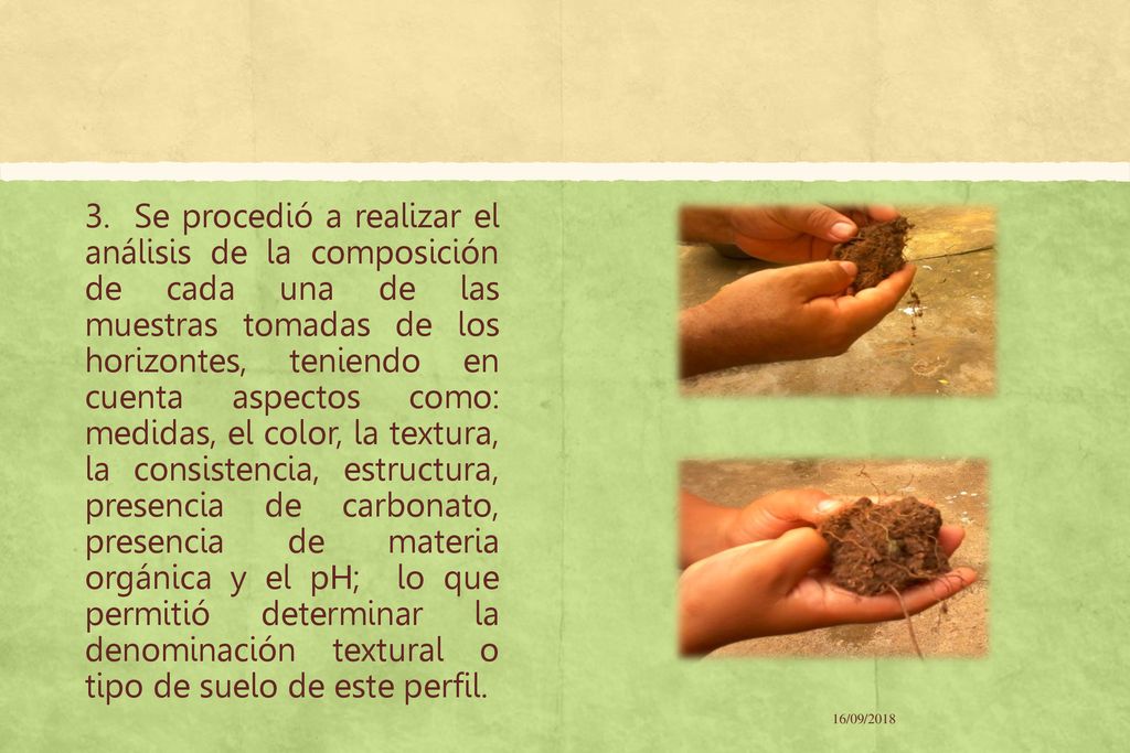 3. Se procedió a realizar el análisis de la composición de cada una de las muestras tomadas de los horizontes, teniendo en cuenta aspectos como: medidas, el color, la textura, la consistencia, estructura, presencia de carbonato, presencia de materia orgánica y el pH; lo que permitió determinar la denominación textural o tipo de suelo de este perfil.