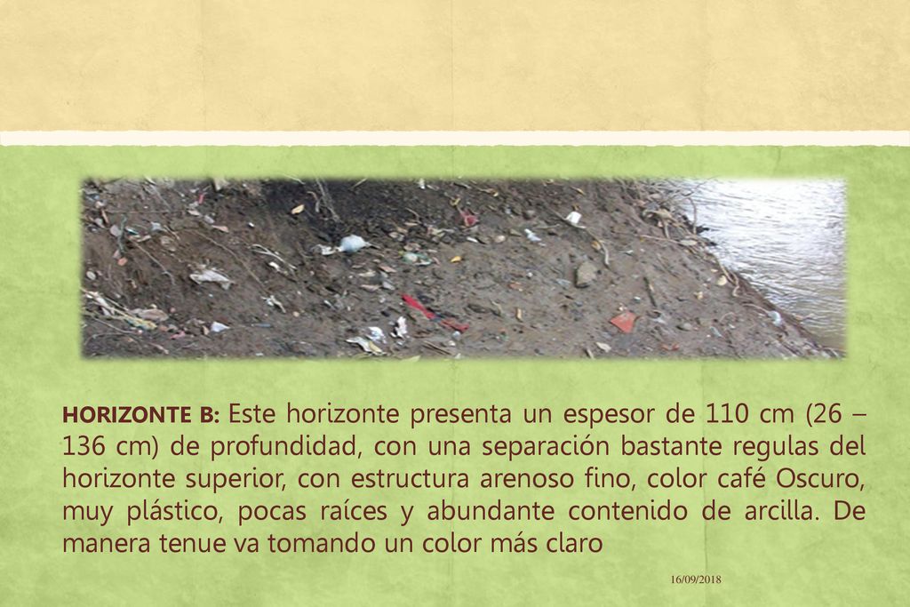 HORIZONTE B: Este horizonte presenta un espesor de 110 cm (26 – 136 cm) de profundidad, con una separación bastante regulas del horizonte superior, con estructura arenoso fino, color café Oscuro, muy plástico, pocas raíces y abundante contenido de arcilla. De manera tenue va tomando un color más claro