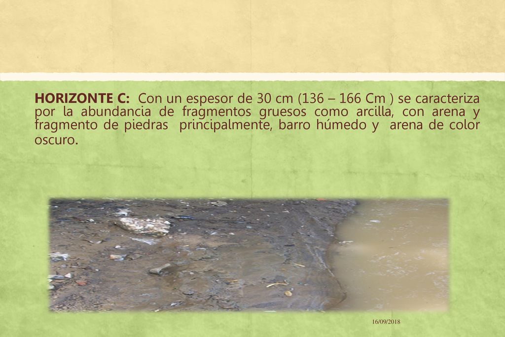 HORIZONTE C: Con un espesor de 30 cm (136 – 166 Cm ) se caracteriza por la abundancia de fragmentos gruesos como arcilla, con arena y fragmento de piedras principalmente, barro húmedo y arena de color oscuro.