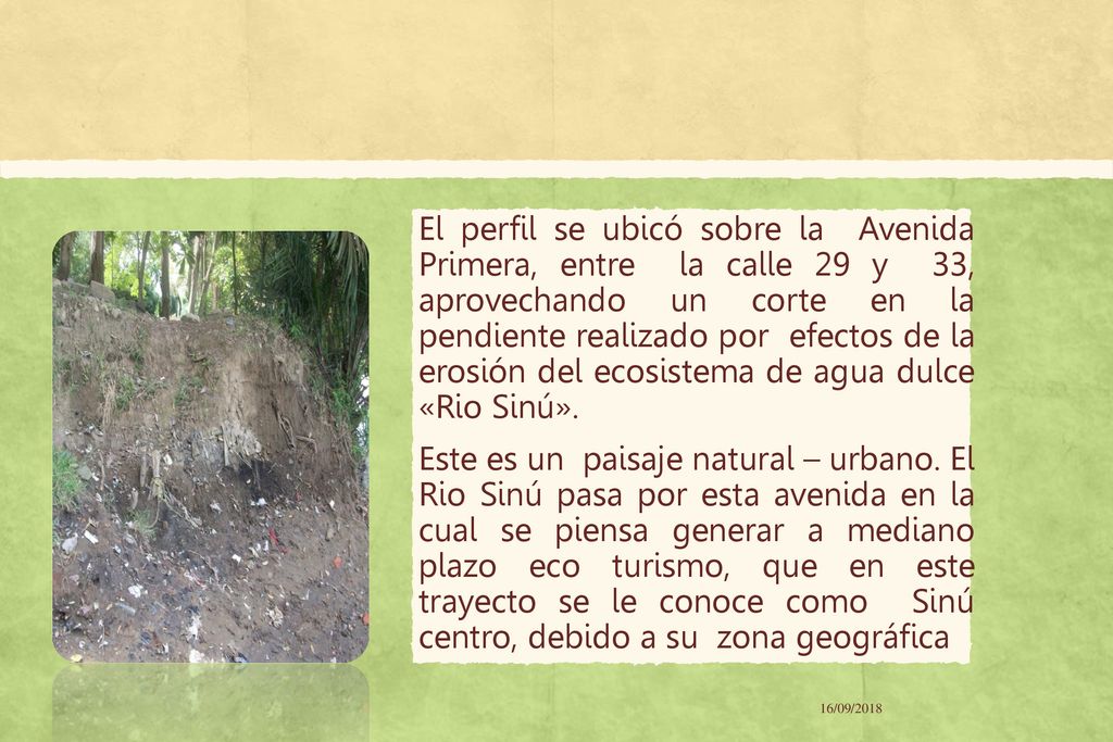 El perfil se ubicó sobre la Avenida Primera, entre la calle 29 y 33, aprovechando un corte en la pendiente realizado por efectos de la erosión del ecosistema de agua dulce «Rio Sinú».