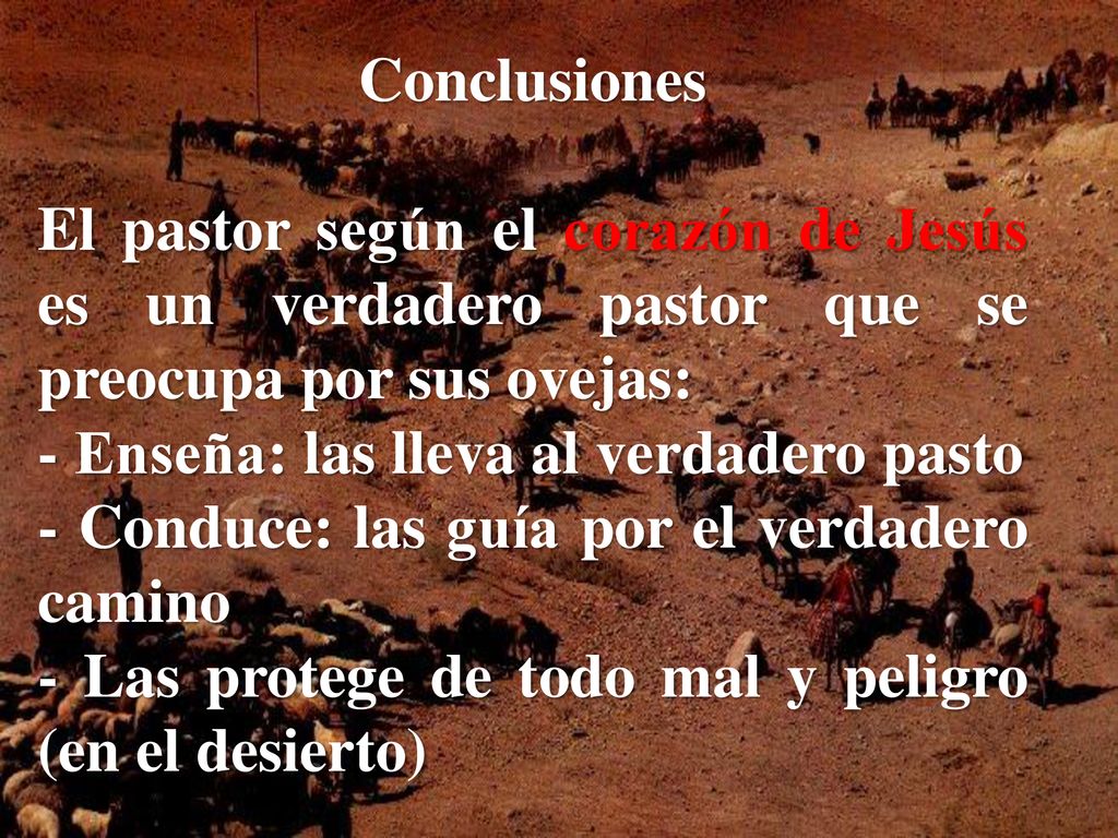 Conclusiones El pastor según el corazón de Jesús es un verdadero pastor que se preocupa por sus ovejas:
