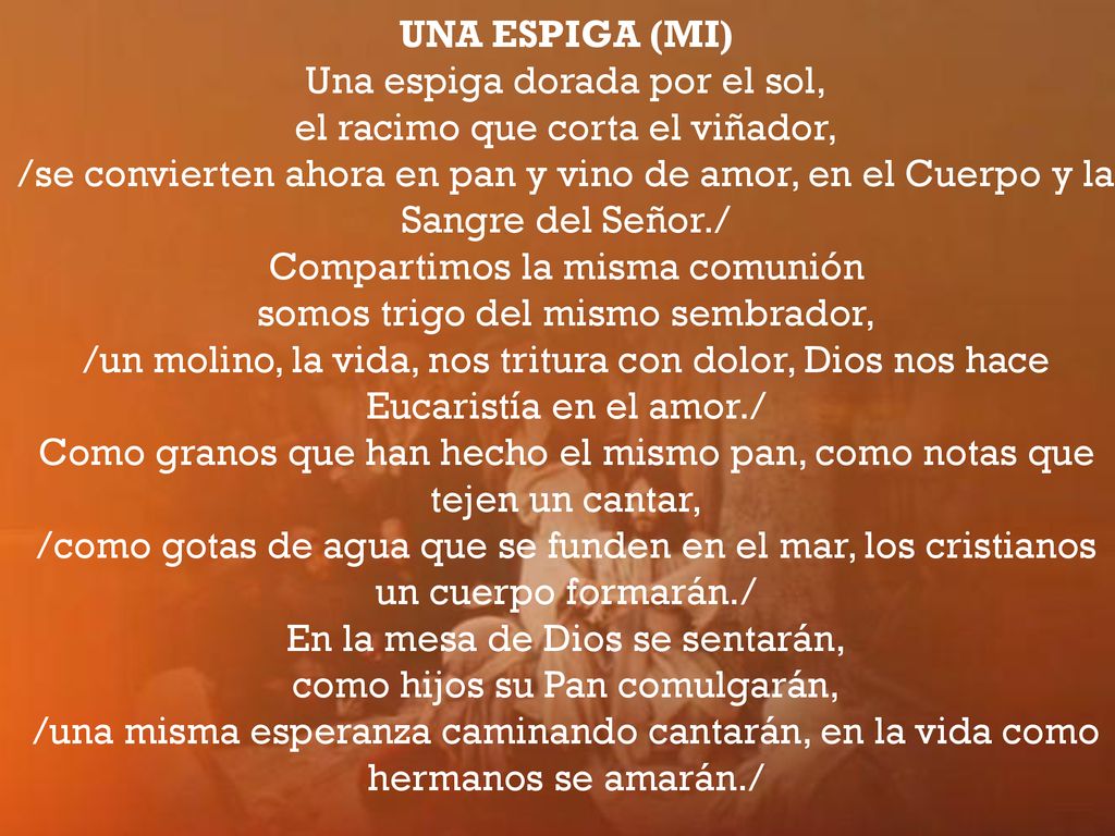 Una espiga dorada por el sol, el racimo que corta el viñador,