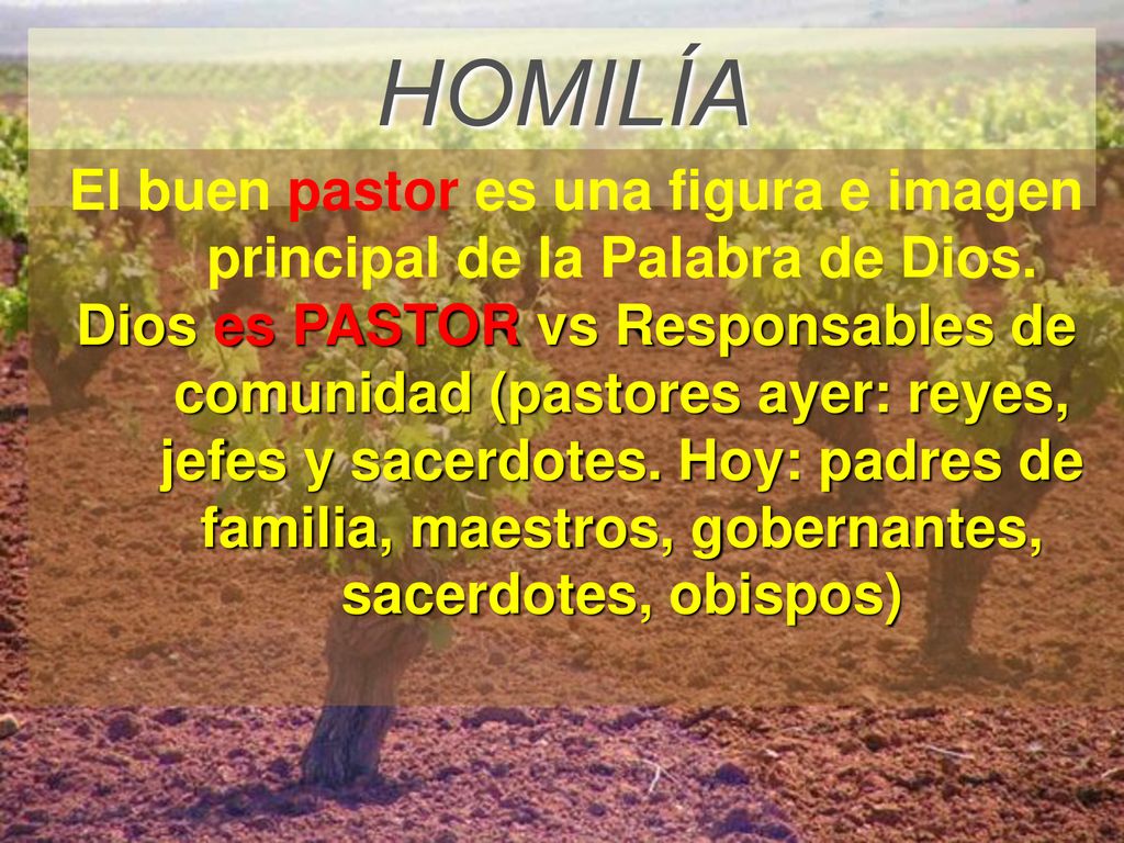 El buen pastor es una figura e imagen principal de la Palabra de Dios.