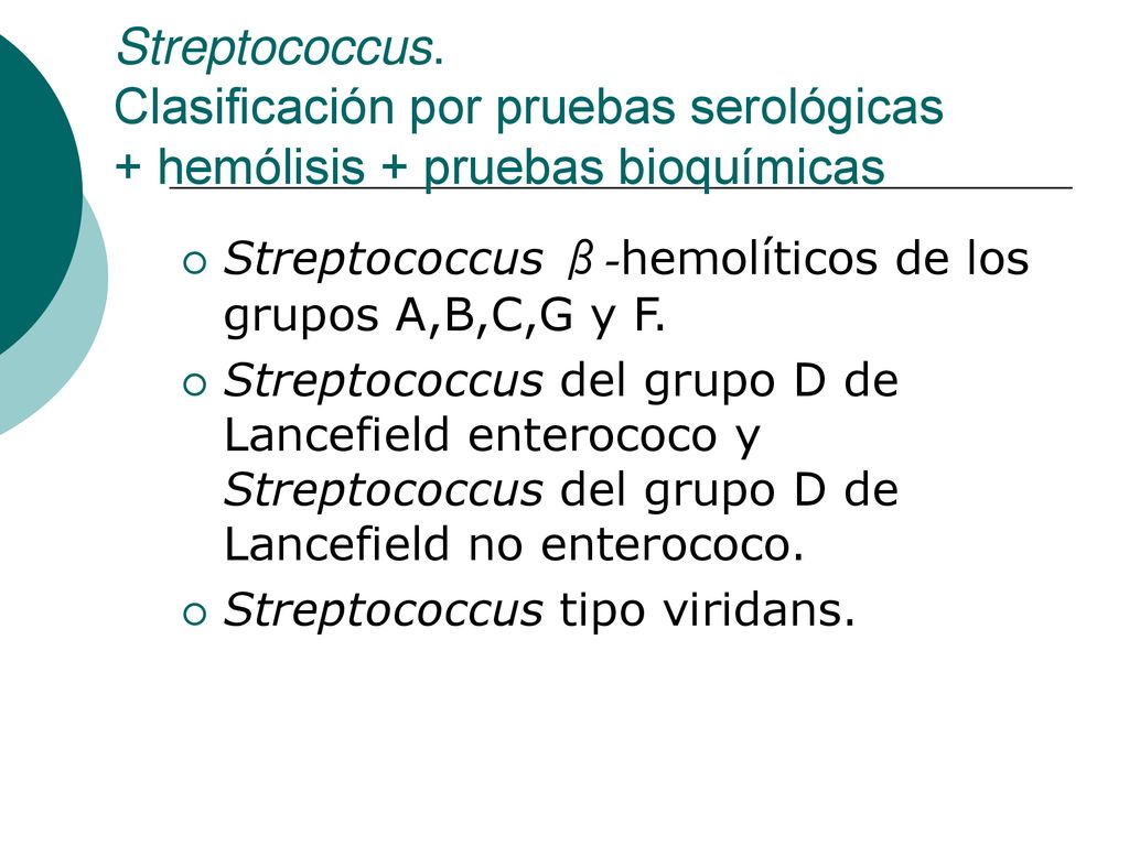Streptococcus. Clasificación por pruebas serológicas + hemólisis + pruebas bioquímicas