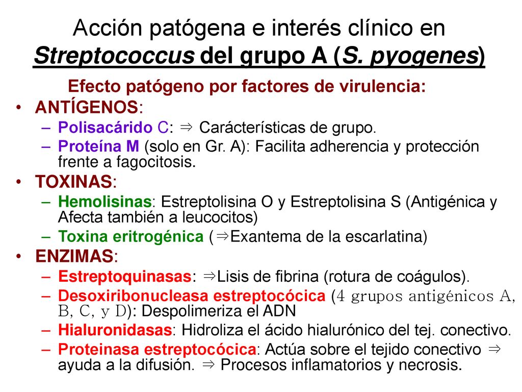 Acción patógena e interés clínico en Streptococcus del grupo A (S