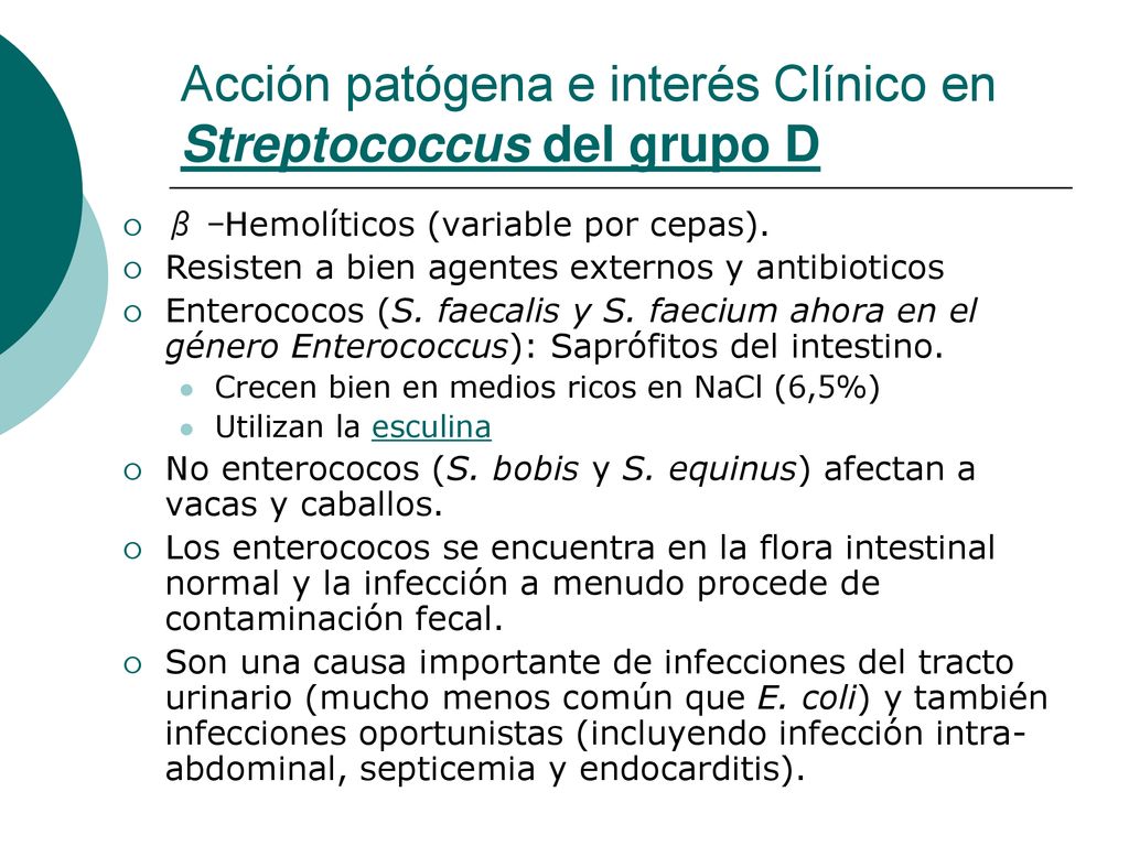 Acción patógena e interés Clínico en Streptococcus del grupo D