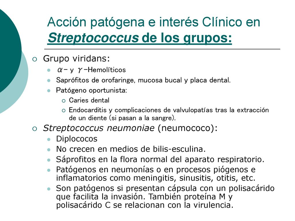 Acción patógena e interés Clínico en Streptococcus de los grupos: