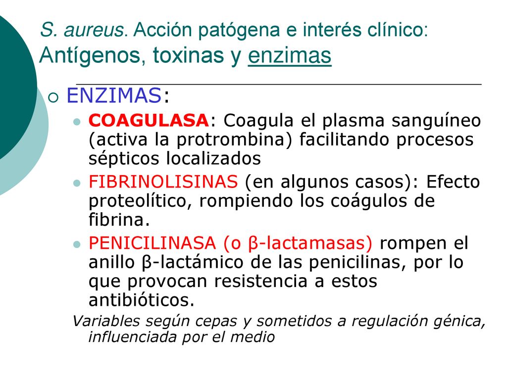 S. aureus. Acción patógena e interés clínico: Antígenos, toxinas y enzimas