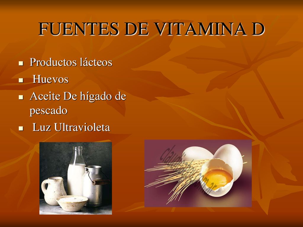 FUENTES DE VITAMINA D Productos lácteos Huevos