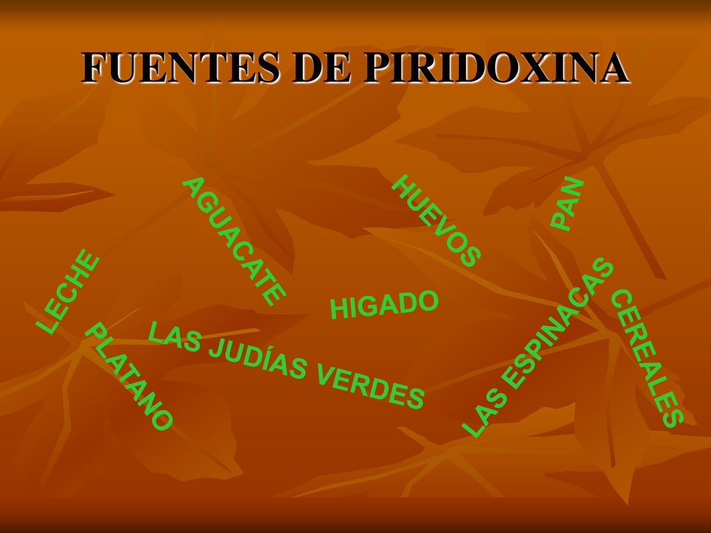 FUENTES DE PIRIDOXINA PAN AGUACATE HUEVOS LECHE HIGADO LAS ESPINACAS