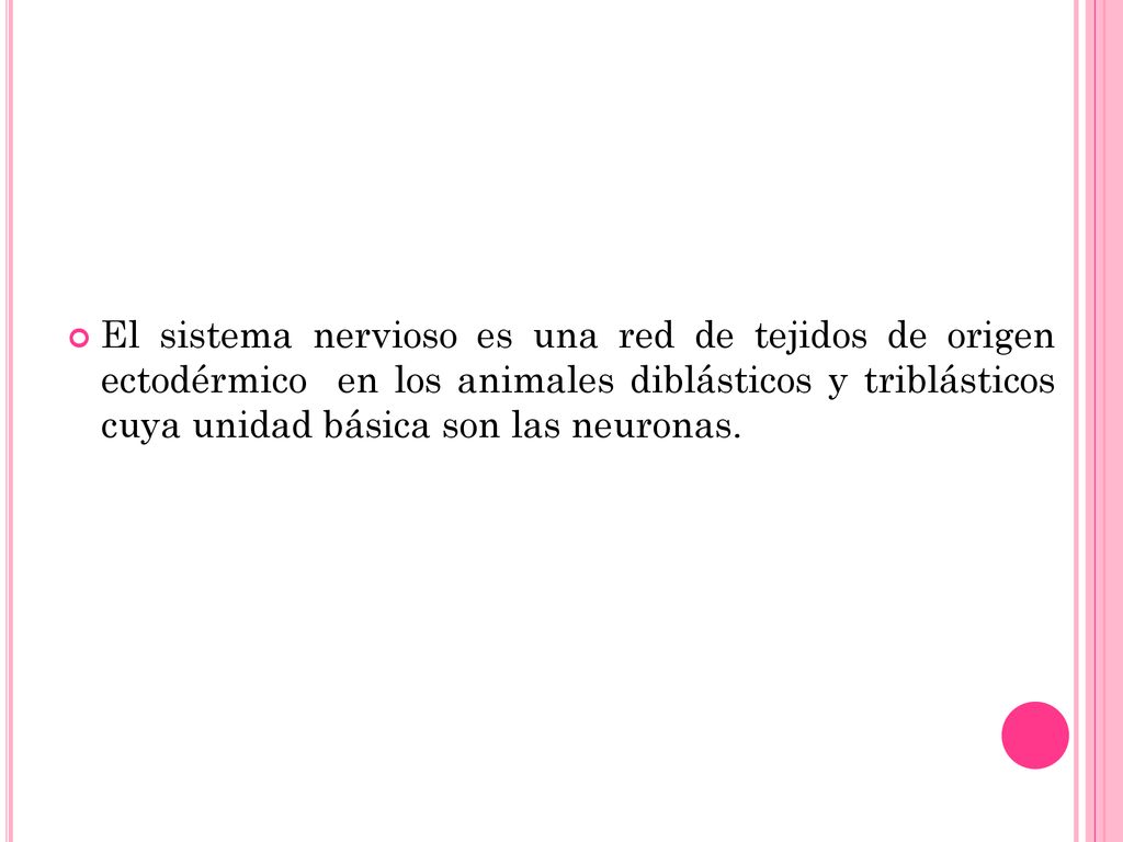 El sistema nervioso es una red de tejidos de origen ectodérmico en los animales diblásticos y triblásticos cuya unidad básica son las neuronas.