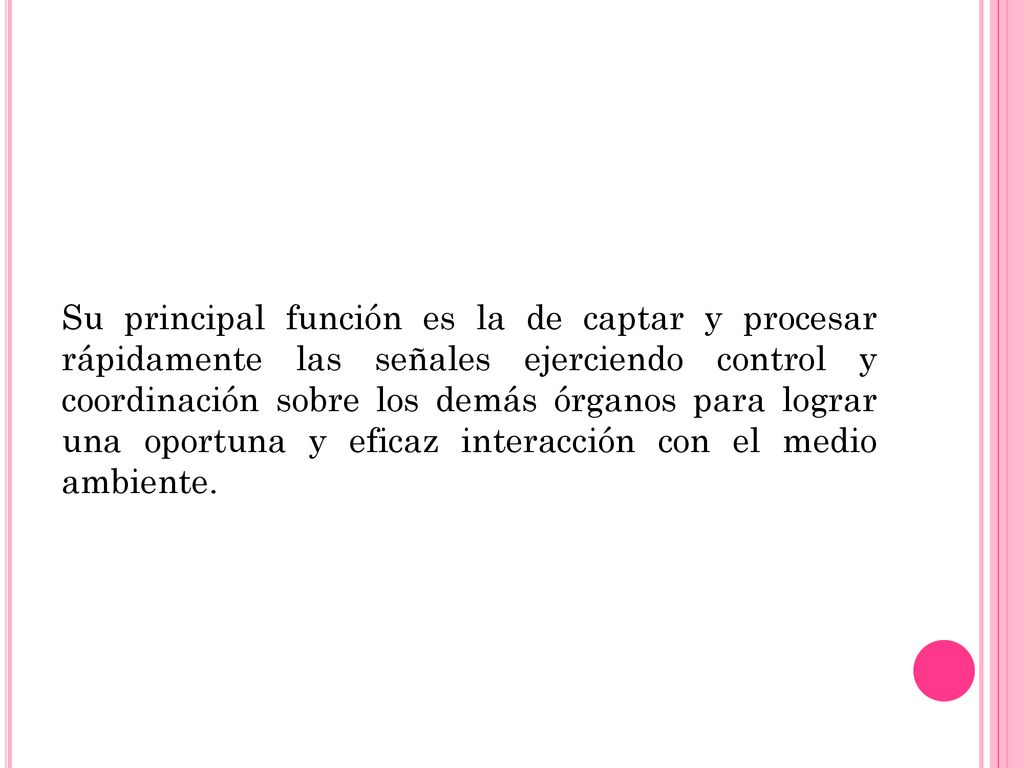 Su principal función es la de captar y procesar rápidamente las señales ejerciendo control y coordinación sobre los demás órganos para lograr una oportuna y eficaz interacción con el medio ambiente.