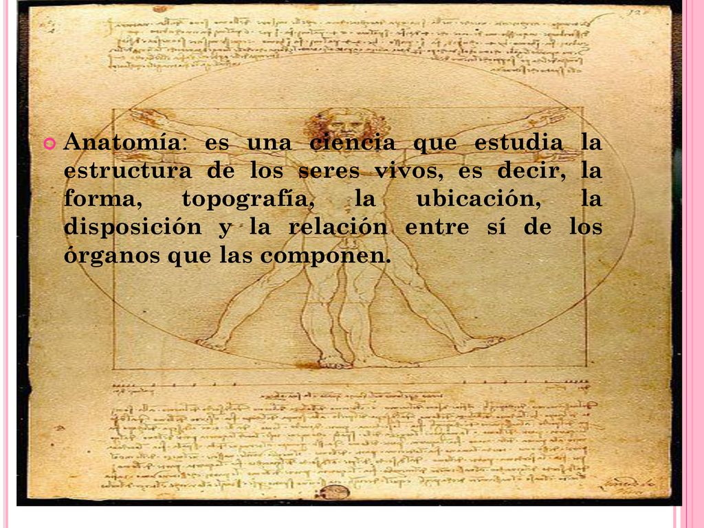 Anatomía: es una ciencia que estudia la estructura de los seres vivos, es decir, la forma, topografía, la ubicación, la disposición y la relación entre sí de los órganos que las componen.