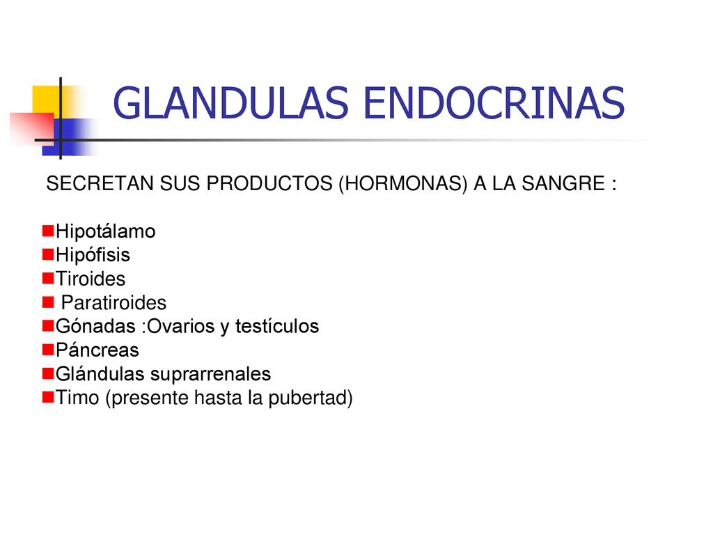GLANDULAS ENDOCRINAS SECRETAN SUS PRODUCTOS (HORMONAS) A LA SANGRE :