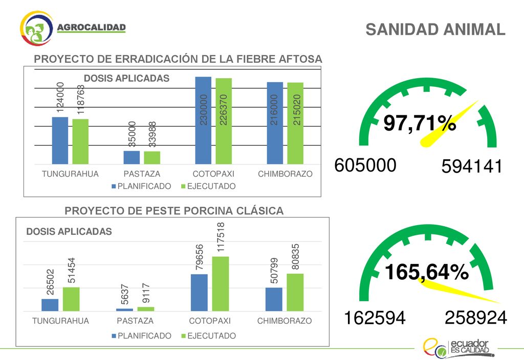 SANIDAD ANIMAL PROYECTO DE ERRADICACIÓN DE LA FIEBRE AFTOSA. 97,71% PROYECTO DE PESTE PORCINA CLÁSICA.