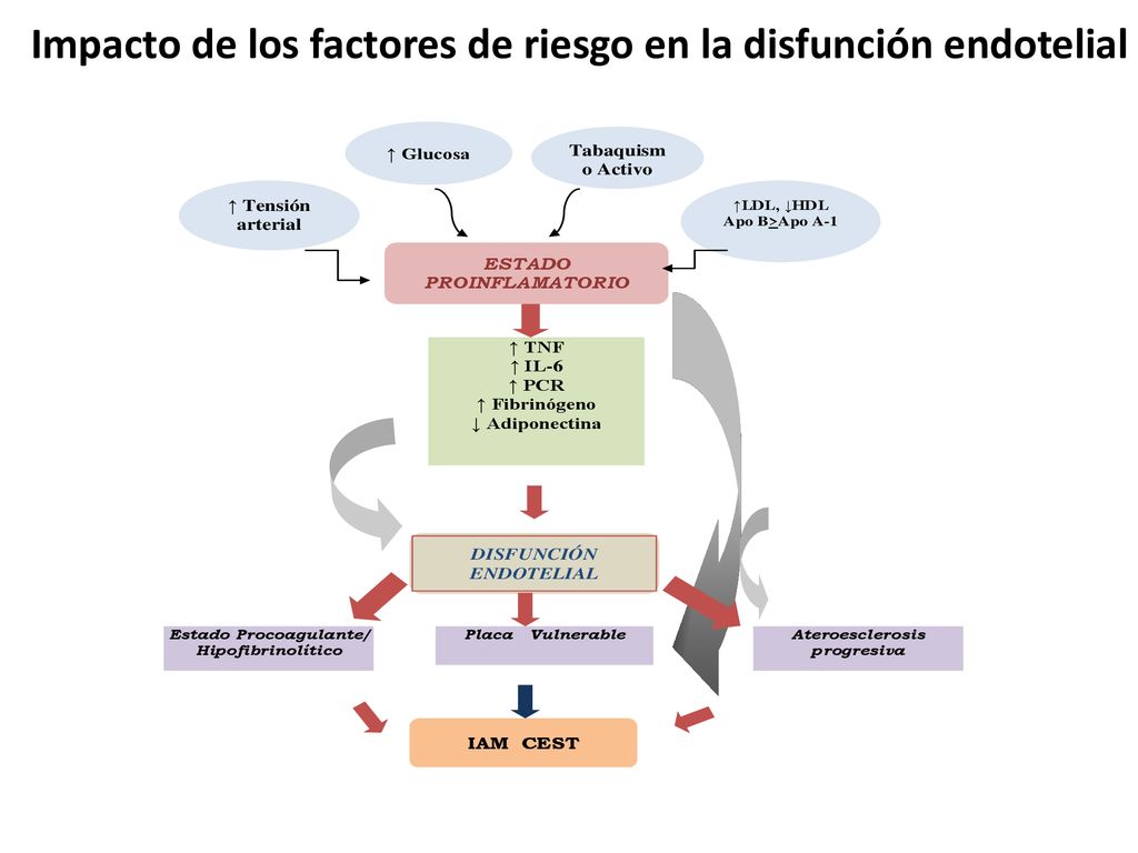 Impacto de los factores de riesgo en la disfunción endotelial