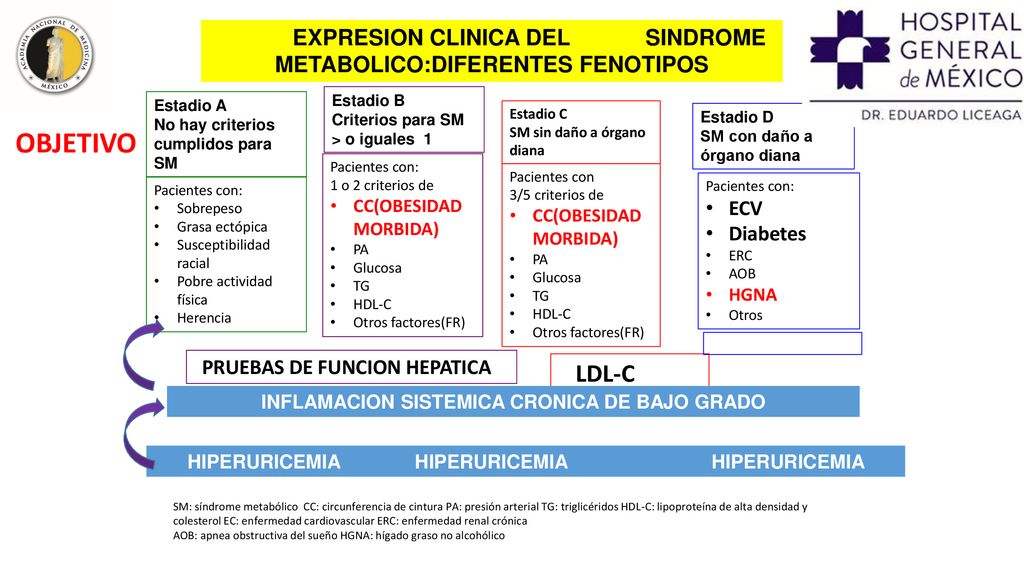 EXPRESION CLINICA DEL SINDROME METABOLICO:DIFERENTES FENOTIPOS