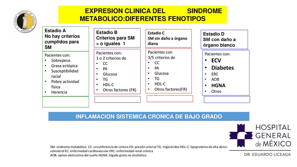 EXPRESION CLINICA DEL SINDROME METABOLICO:DIFERENTES FENOTIPOS