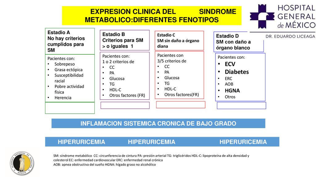 EXPRESION CLINICA DEL SINDROME METABOLICO:DIFERENTES FENOTIPOS