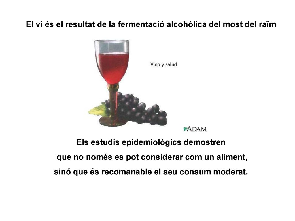 El vi és el resultat de la fermentació alcohòlica del most del raïm
