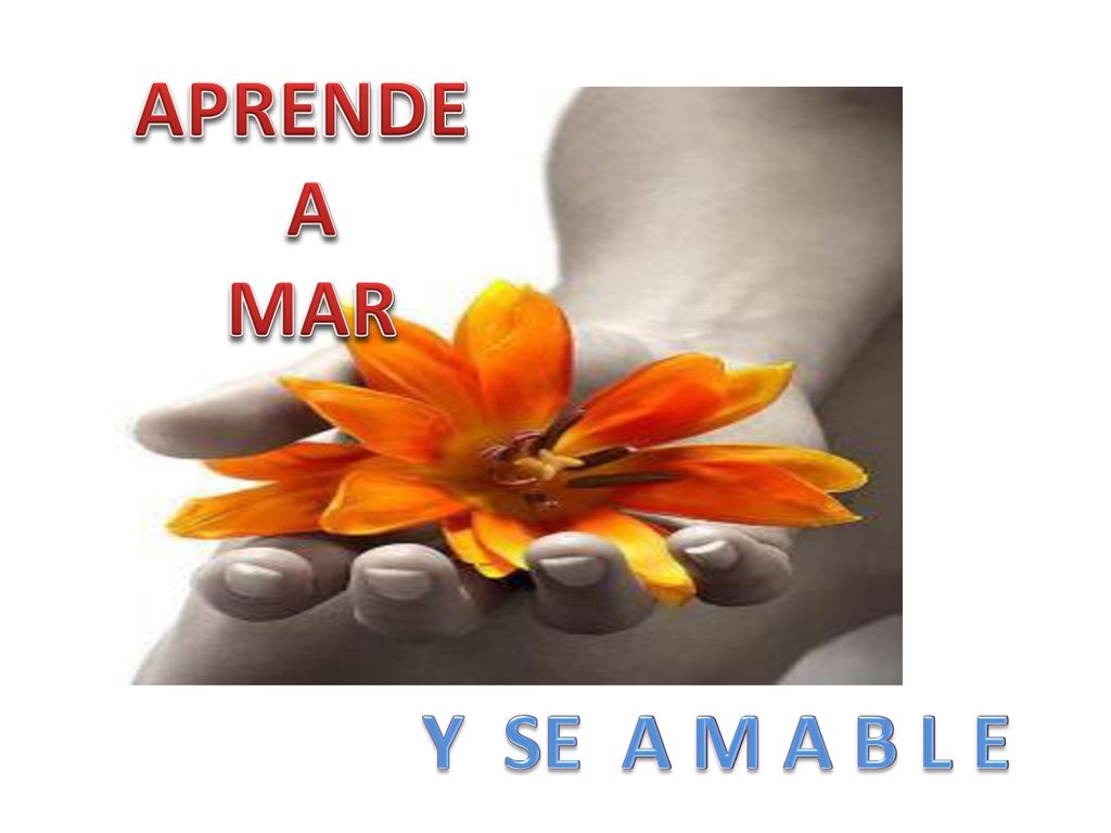 APRENDE A MAR Y SE A M A B L E