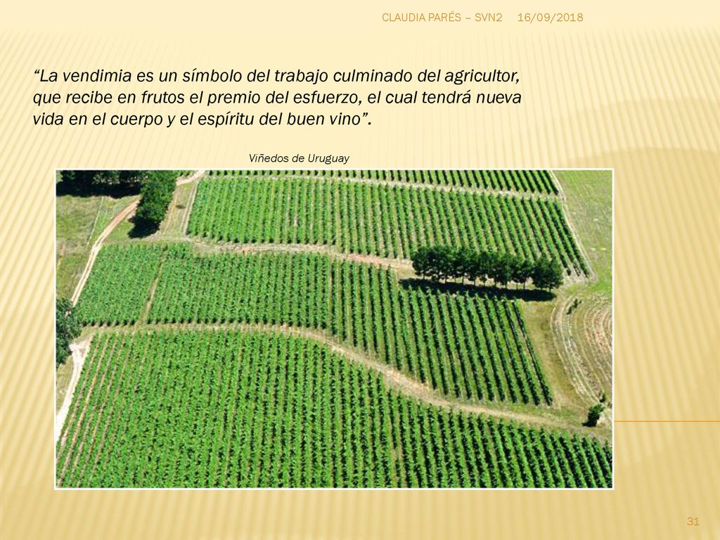 La vendimia es un símbolo del trabajo culminado del agricultor,