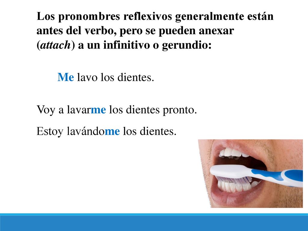 Los pronombres reflexivos generalmente están antes del verbo, pero se pueden anexar (attach) a un infinitivo o gerundio: