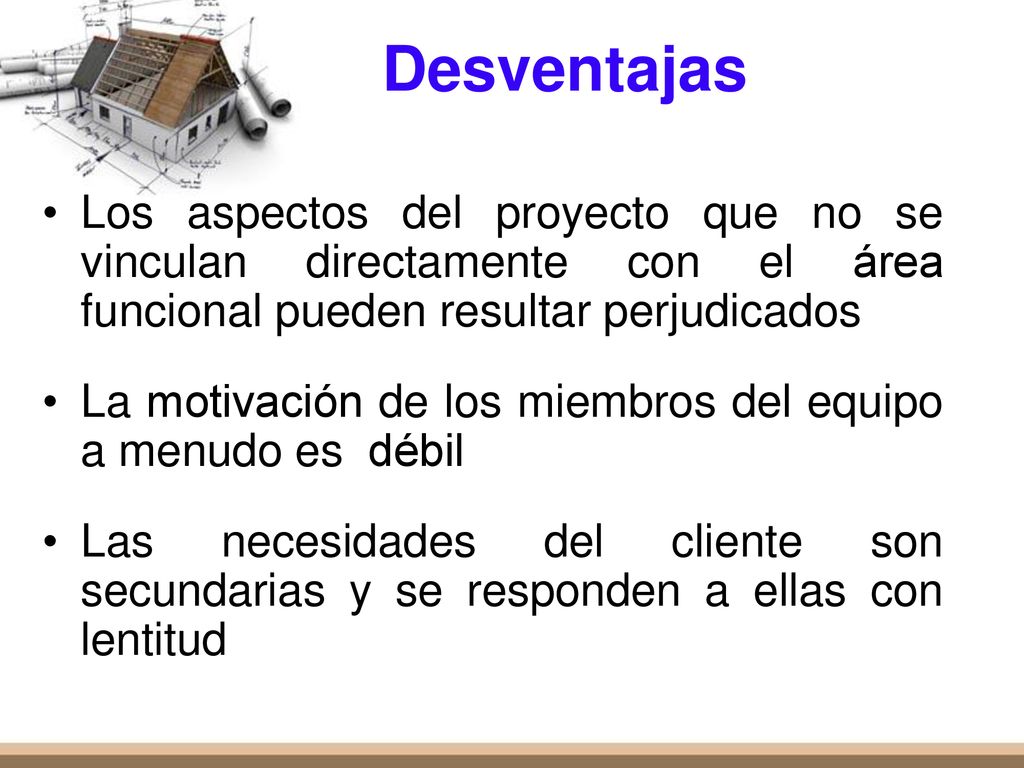 Desventajas Los aspectos del proyecto que no se vinculan directamente con el área funcional pueden resultar perjudicados.