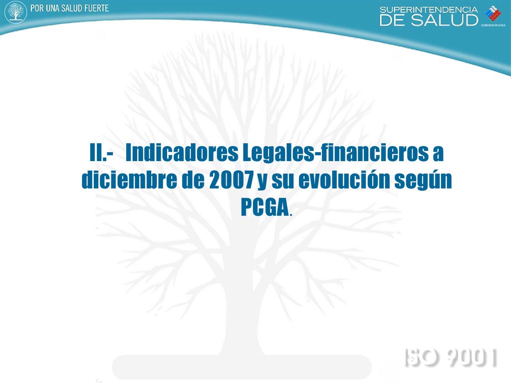 II.- Indicadores Legales-financieros a diciembre de 2007 y su evolución según PCGA.