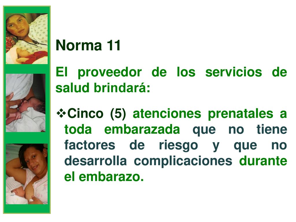 Norma 11 El proveedor de los servicios de salud brindará: