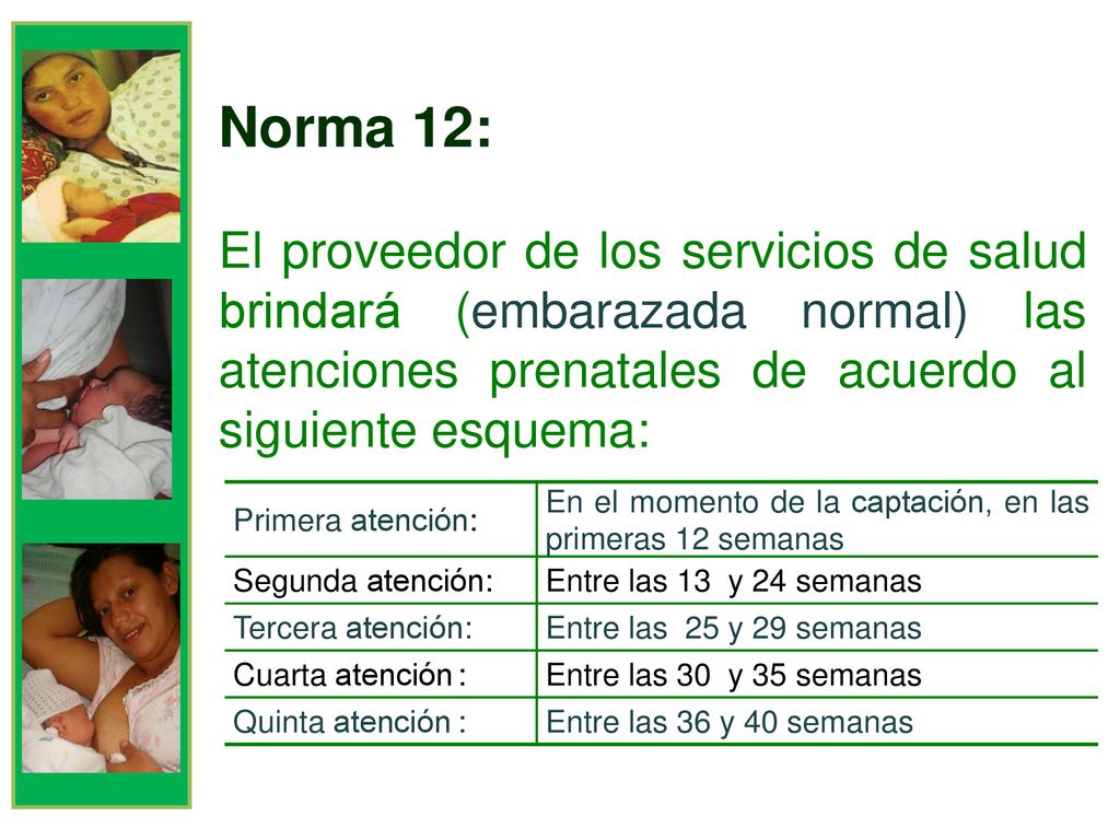 Norma 12: El proveedor de los servicios de salud brindará (embarazada normal) las atenciones prenatales de acuerdo al siguiente esquema: