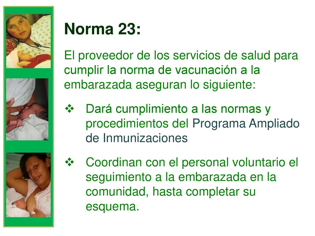 Norma 23: El proveedor de los servicios de salud para cumplir la norma de vacunación a la embarazada aseguran lo siguiente: