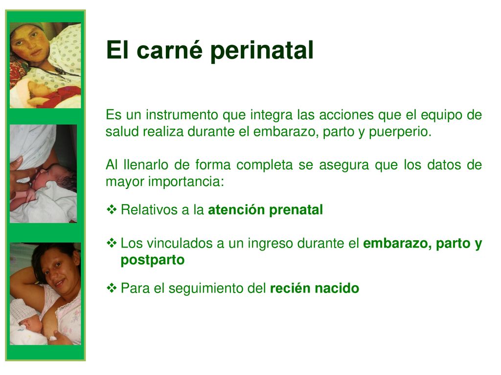 El carné perinatal Es un instrumento que integra las acciones que el equipo de salud realiza durante el embarazo, parto y puerperio.