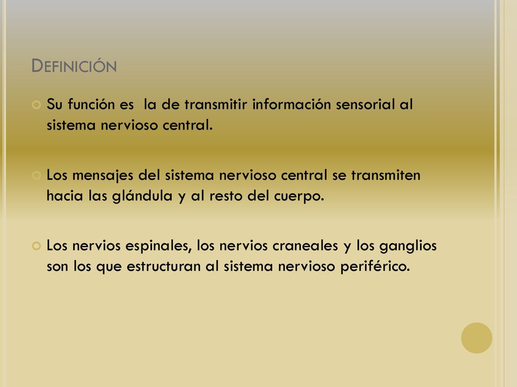 Definición Su función es la de transmitir información sensorial al sistema nervioso central.