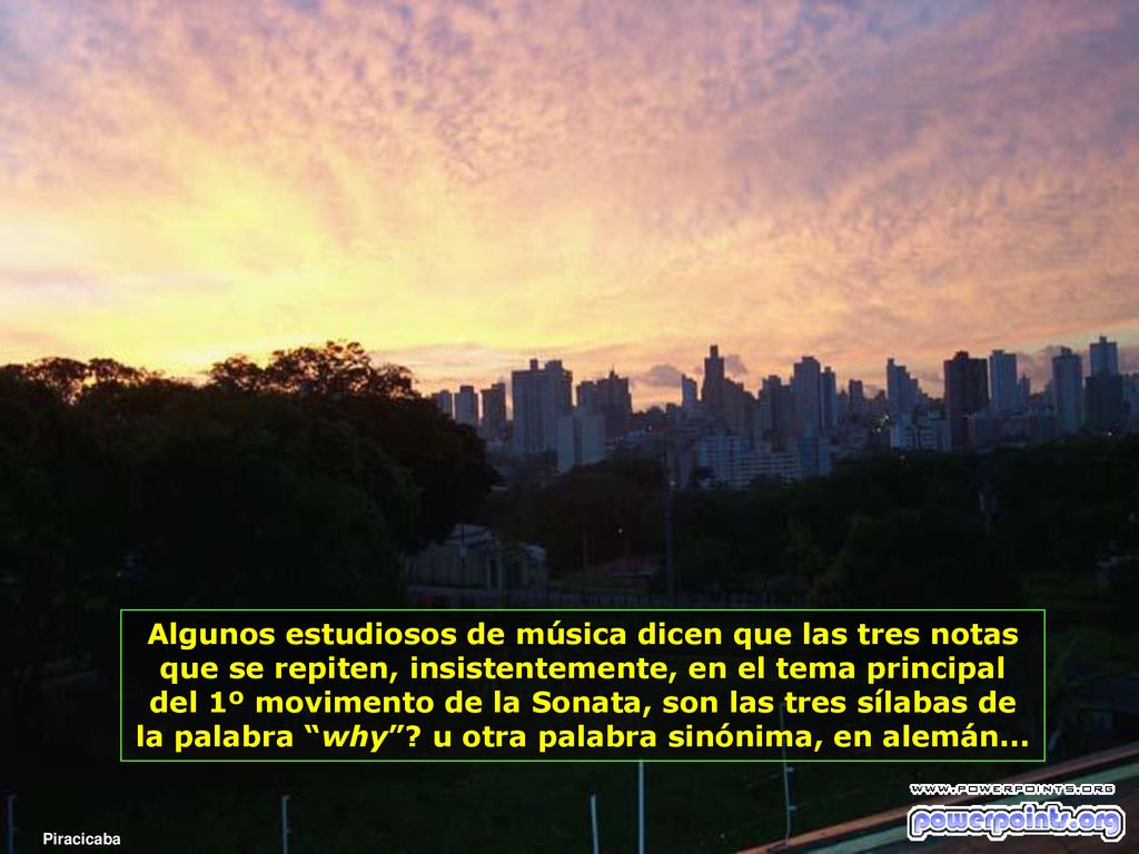 Algunos estudiosos de música dicen que las tres notas que se repiten, insistentemente, en el tema principal del 1º movimento de la Sonata, son las tres sílabas de la palabra why u otra palabra sinónima, en alemán...