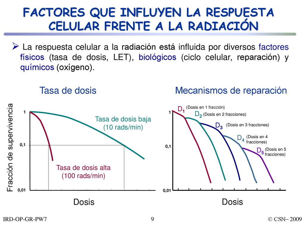 FACTORES QUE INFLUYEN LA RESPUESTA CELULAR FRENTE A LA RADIACIÓN