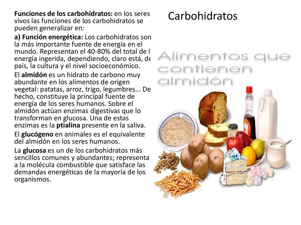 Funciones de los carbohidratos: en los seres vivos las funciones de los carbohidratos se pueden generalizar en: