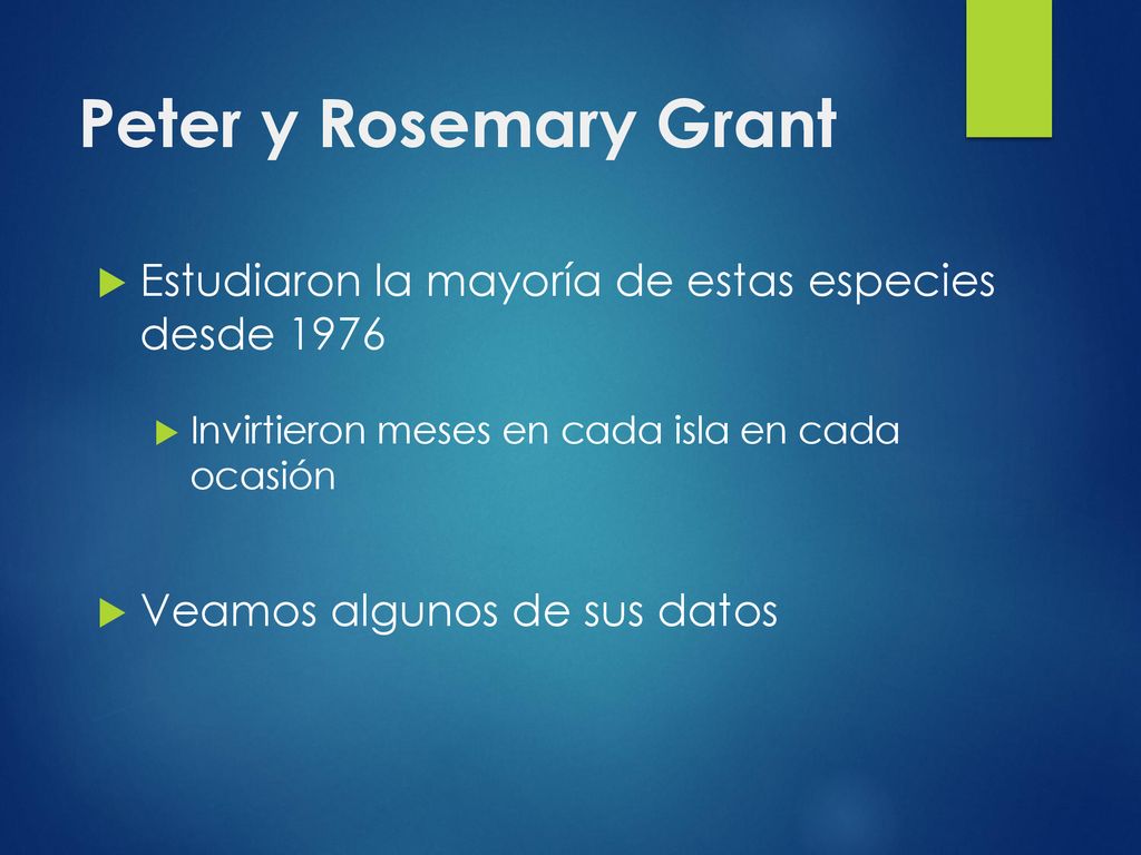 Peter y Rosemary Grant Estudiaron la mayoría de estas especies desde Invirtieron meses en cada isla en cada ocasión.