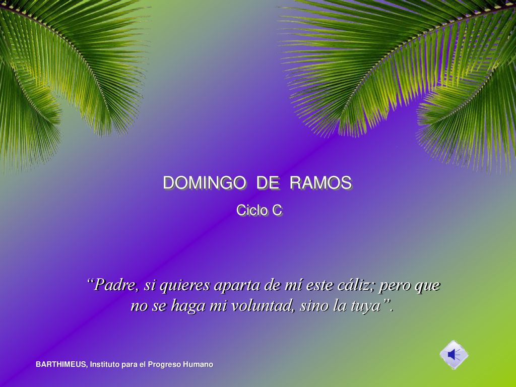 DOMINGO DE RAMOS Ciclo C. Padre, si quieres aparta de mí este cáliz; pero que no se haga mi voluntad, sino la tuya .