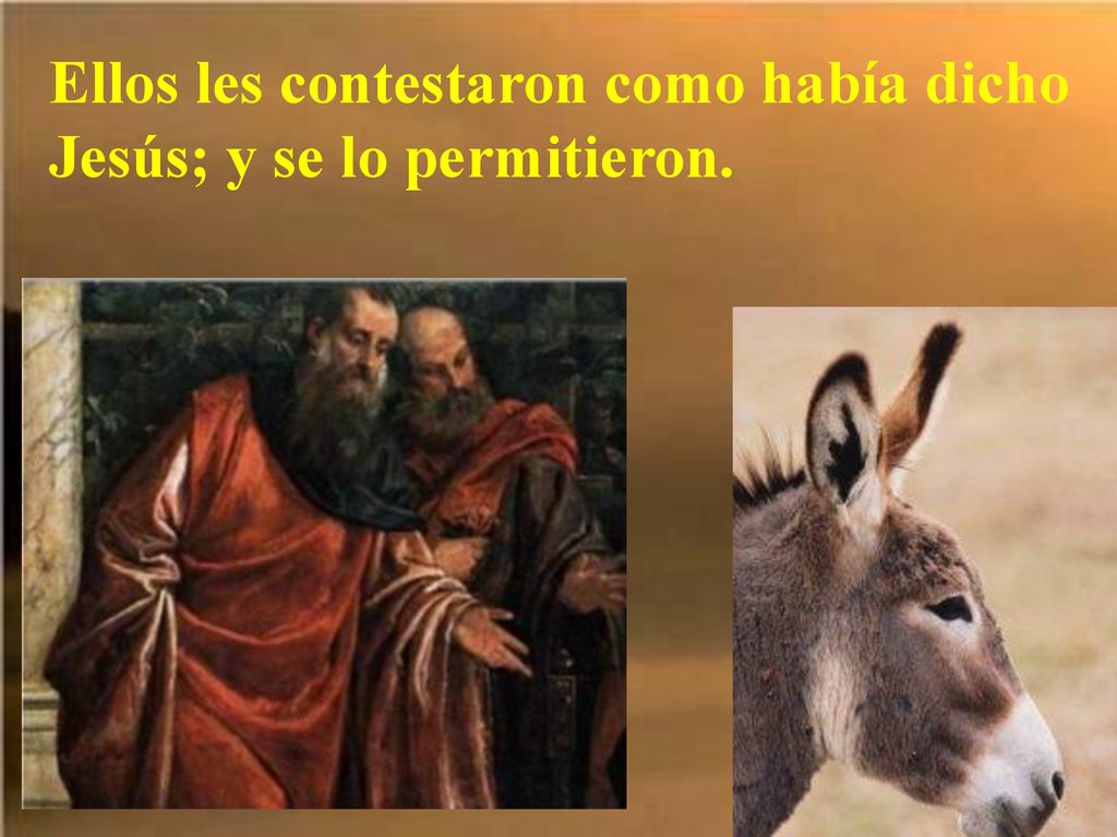 Ellos les contestaron como había dicho Jesús; y se lo permitieron.